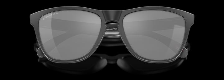 Actual product image Oakley Frogskins Sunglasses