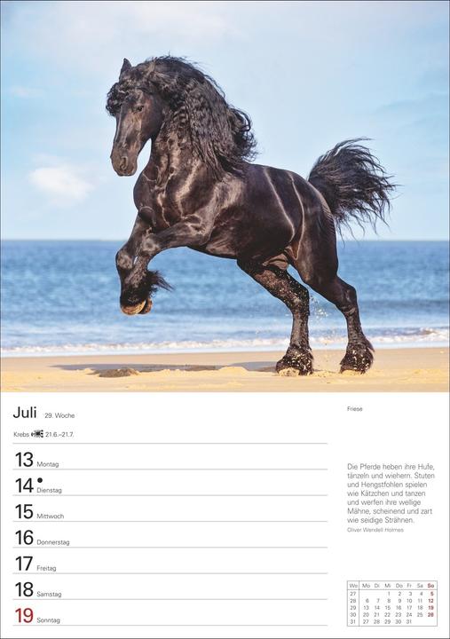 Image du produit Harenberg Pferde Wochenplaner 2026 - 53 faszinierende Fotografien (Allemand)