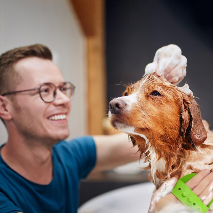 Produktbild Relaxdays 3x Hunde-Massagebürste (Hund, Katze)