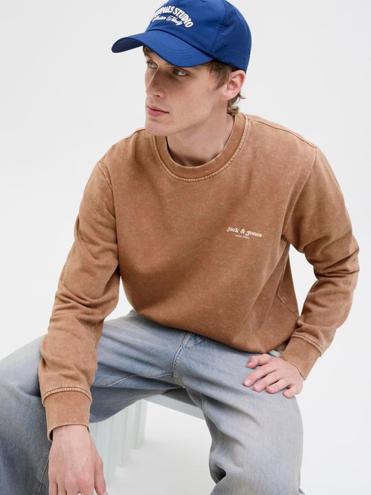 Immagine prodotto Jack & Jones Jjedover Print Sweat Crew Neck (XL)