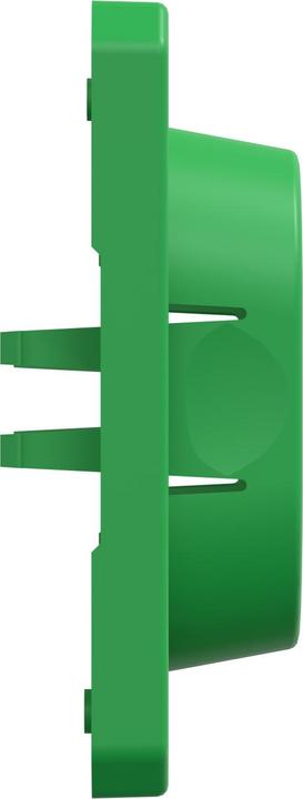 Image du produit Schneider Electric Cache-salissures pour interrupteurs et prises de courant, vert