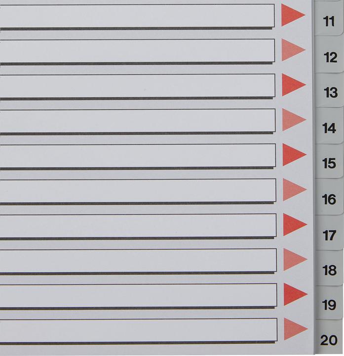 Actual product image Esselte Plastic register