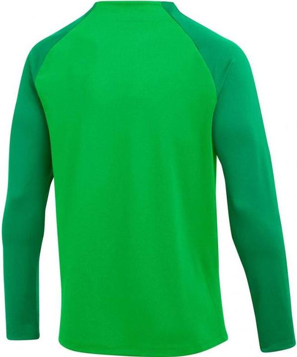 Actual product image Nike Dri-Fit Academy Pro Men "S Green Spark/Lucky Green/White XXL (XXL)