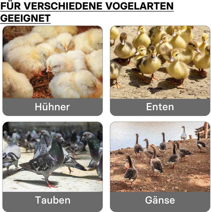 Produktbild Fudajo 30x40cm Küken-Wärmeplatte Temperaturregler 30W Heizplatte Kükenaufzucht (30 W)