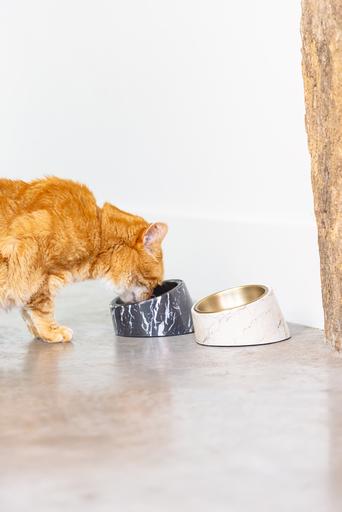 Actual product image Designed by Lotte Melamine Bowl Cat Vita