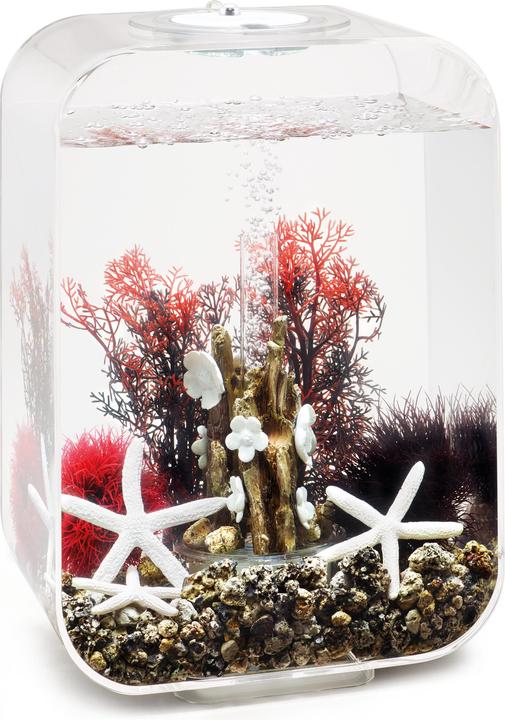 Image du produit Oase BiOrb Aquarium 15 Set décoratif (Décoration, autres éléments)