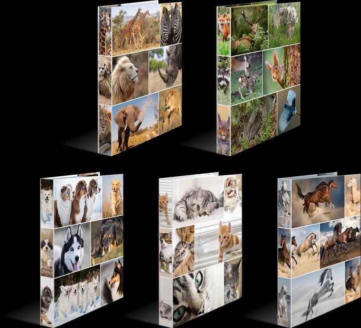 Actual product image HERMA A4 ring binder motif (A4, 35 mm, 10 Piece)