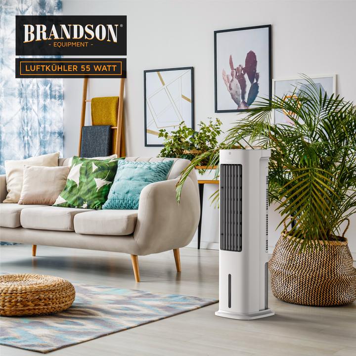 Label énergétique Brandson Ventilateur de tour avec refroidissement par eau, réservoir d'eau de 5 litres, filtre à air (57 dB)