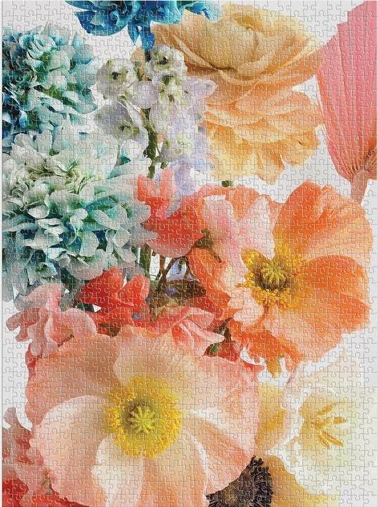 Produktbild Abrams & Chronicle Ashley Woodson Bailey Florida Light 1000 Piece Puzzle (Smaller Rectangle Box) (1000 Teile)