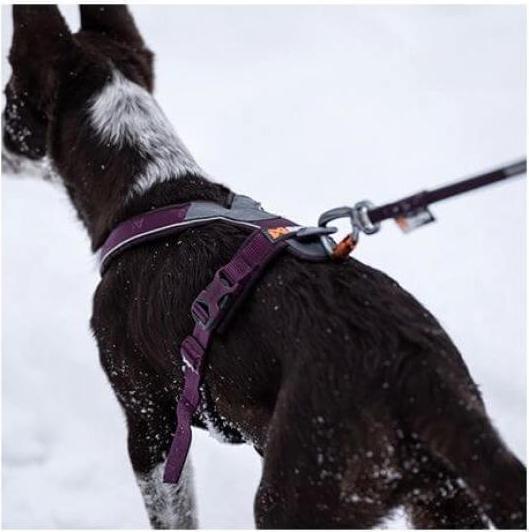 Actual product image Non-Stop Dogwear Line Harness 5.0 (6, Dog, General)