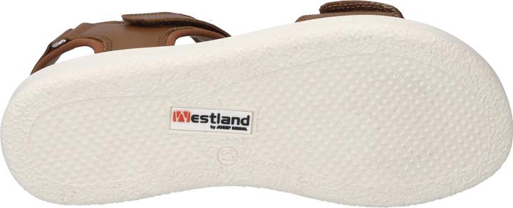 Image du produit Westland 25401-410 (40)