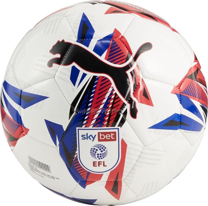 EFL Orbita 6 Sky Bet 2425 Fussball Puma Training (3)