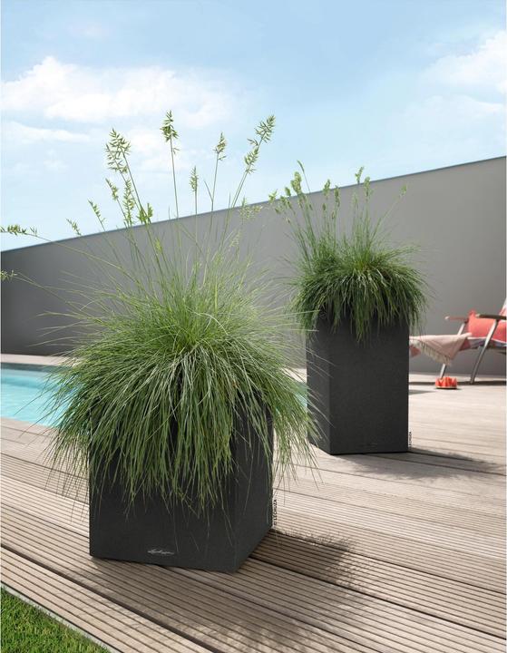Produktbild Lechuza Canto Color Würfel (30 cm)