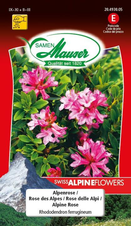 Samen Mauser Alpenrose (Pflanzensamen)