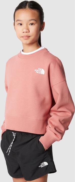 Immagine prodotto North Face Pile G New Cutline Crew (XXL)