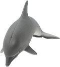 Produktbild Schleich Delphin