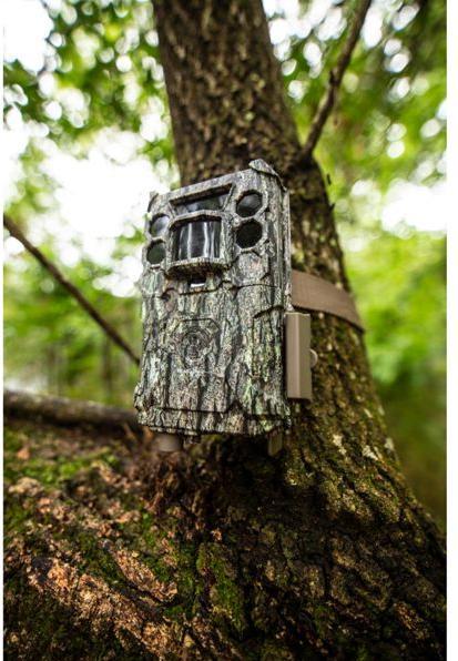 Actual product image Bushnell Core DS No Glow