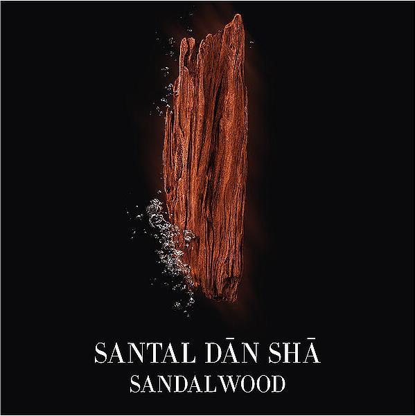 Actual product image Giorgio Armani Santal Dān Shā Eau de Toilette (Eau de toilette, 100 ml)