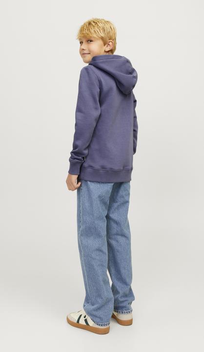 Produktbild Jack & Jones Jorfrederiksberg Box Sweat Hood Sn Jnr (140)