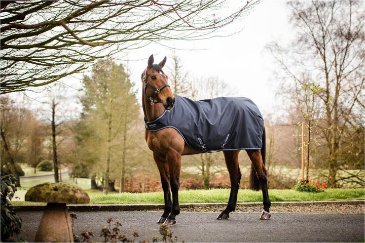 Produktbild Horseware Führanlagendecke Amigo Walker 100g