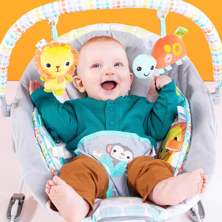 Image du produit Bright Starts Transat vibrant pour bébé, Whimsical Wild