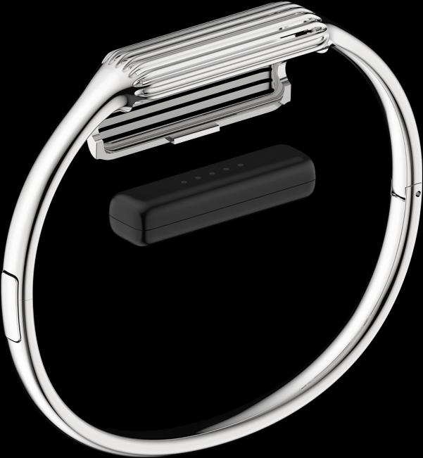 Produktbild Fitbit Armreif (Edelstahl)