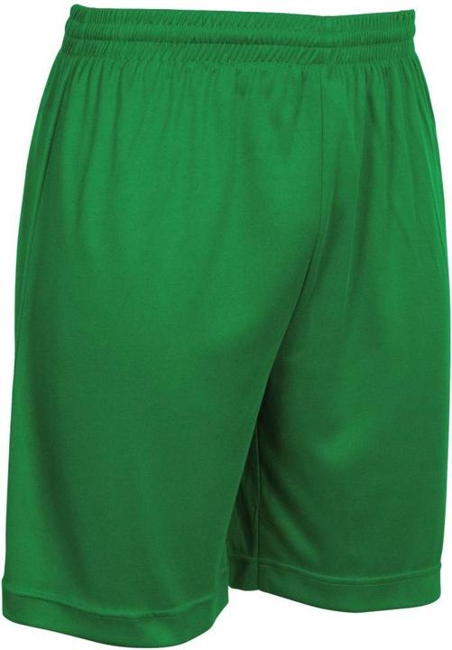 Actual product image Stanno Field shorts (128)