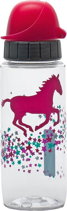 Emsa Drink2Go Tritan (0.50 l)