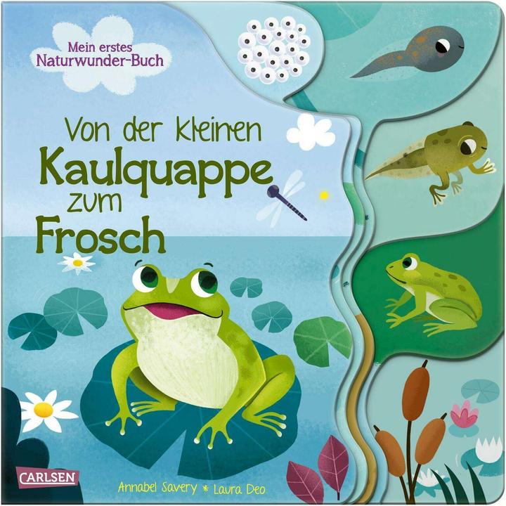 From little tadpole to frog (German)