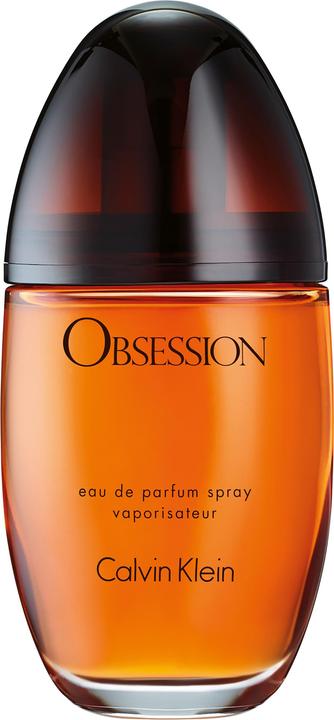Calvin Klein Obsession (Eau de Parfum, 100 ml)