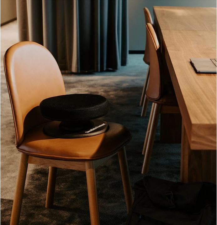 Image du produit Swedish Posture Posture Balance Core