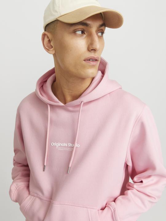Image du produit Jack & Jones Jorvesterbro Sweat Hood Noos (XXL)