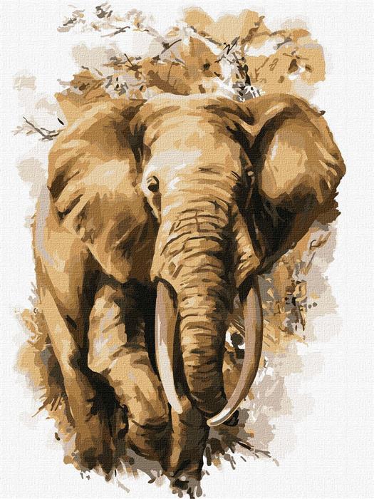 Actual product image Ideyka Painting by numbers - Elephant 30 x 40 cm