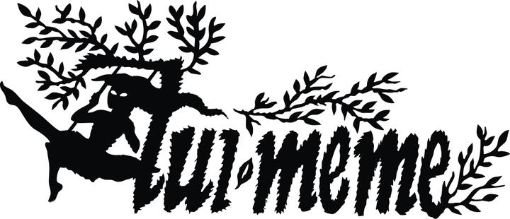 Actual product image Asmodée The Werewolves Von Düsterwald: The Pact (German)