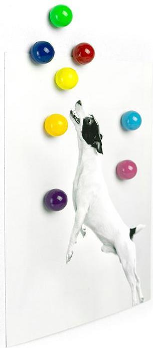 Image du produit Trendform Rainball (8 x)