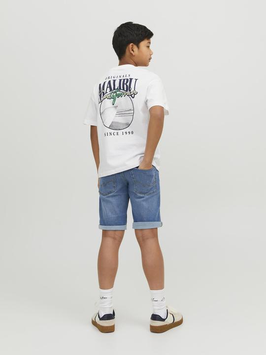 Image du produit Jack & Jones Short Regular Fit Short Regular Fit Mini Short Regular Fit (98)
