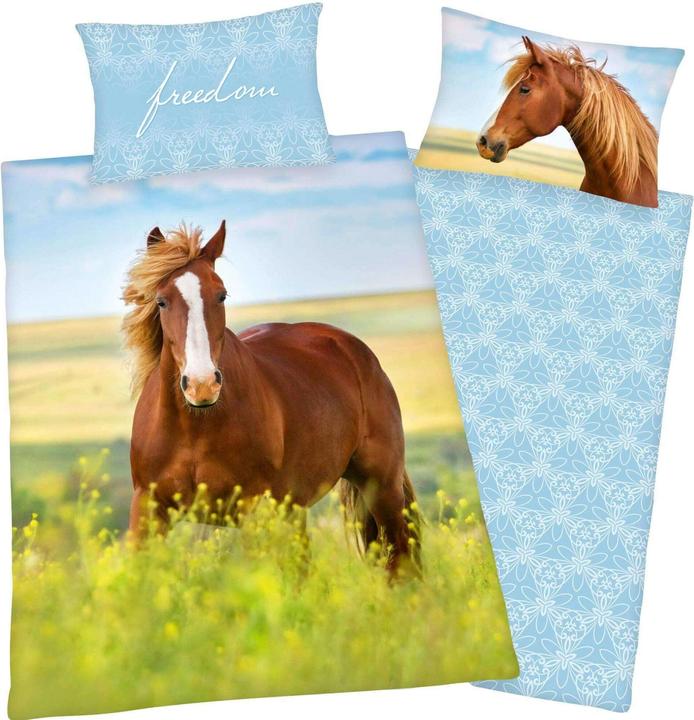 Image du produit Herding Cheval