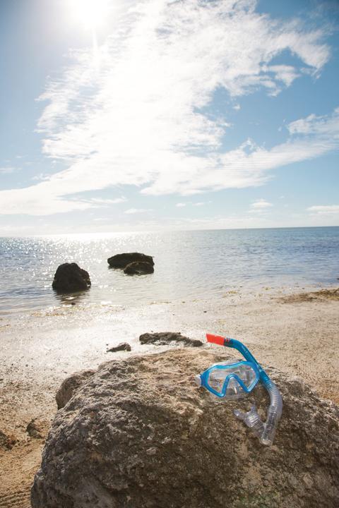 Actual product image Bestway diving set Sparkling Sea Set, 24025