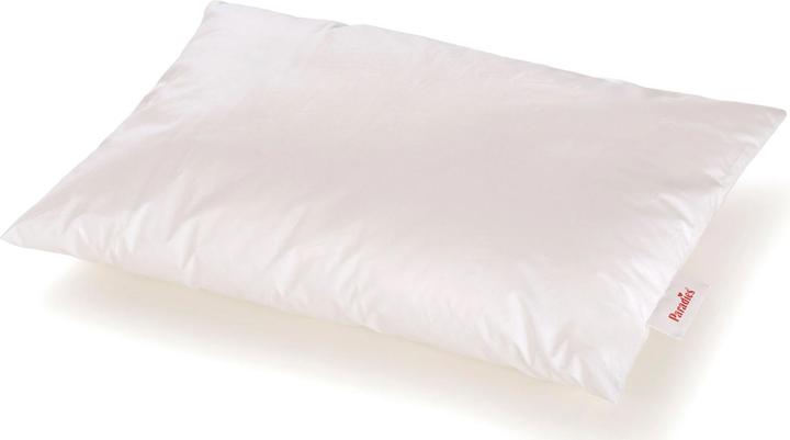 Produktbild Paradies Kissen Lani Bio - Kuschelig weiches Kissen mit Aloe-Vera Veredelung (60 x 40 cm)