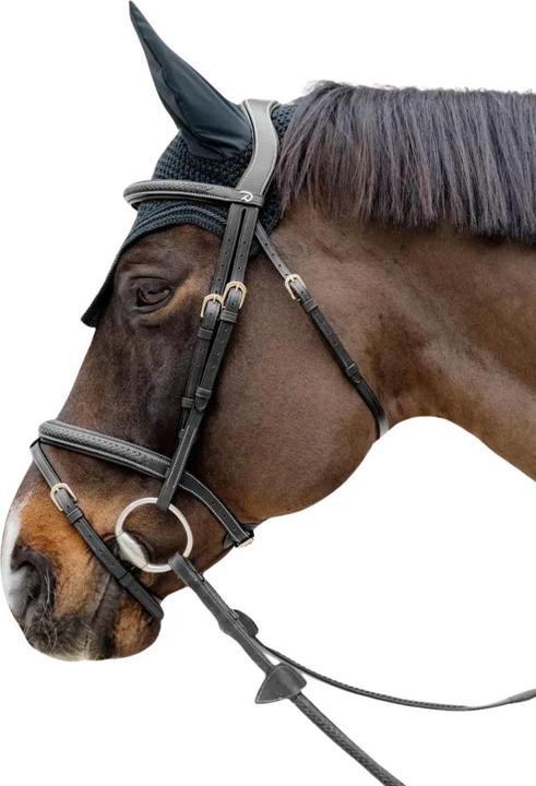 Immagine prodotto Dy'on Testiera da equitazione con museruola combinata intrecciata
