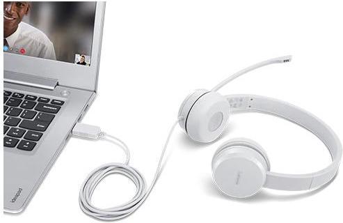Actual product image Lenovo 110 Stereo USB headset