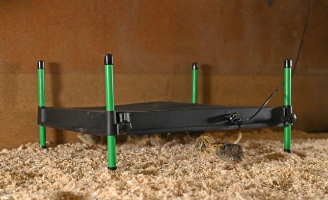 Actual product image Kerbl hot plate