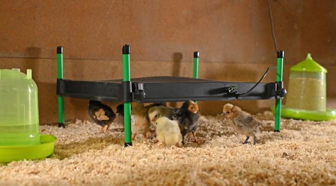 Actual product image Kerbl hot plate