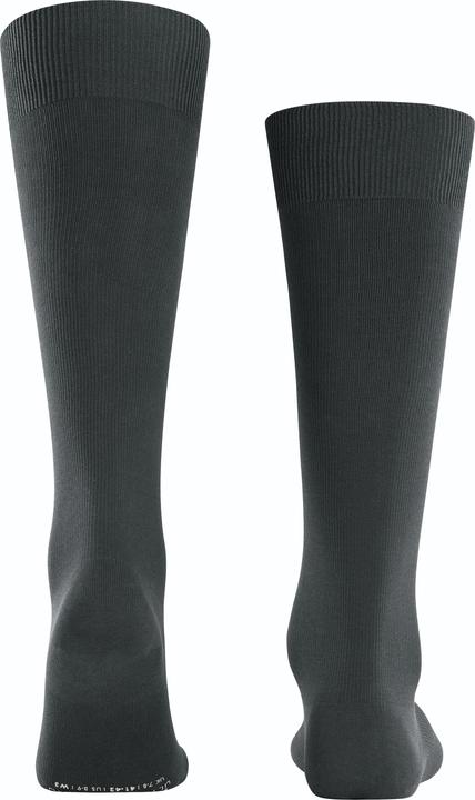 Produktbild Falke Ultra Energizing KH (39)