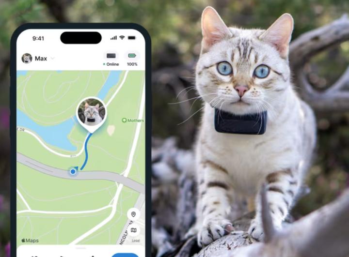 Actual product image Tractive CAT Mini GPS Tracker for Cats (Cat, General)