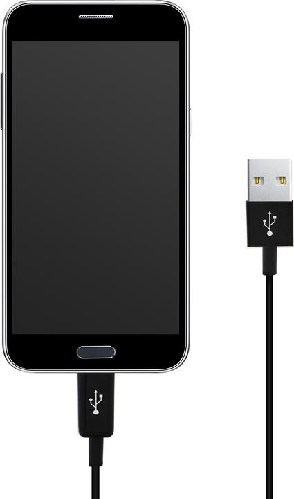Produktbild Avizar Micro-USB / USB-Ladekabel (0.30 m)