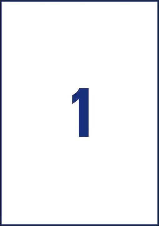 Image du produit Avery AVZ L8001-10 Étiquettes antimicrobiennes 210x297mm blanc
