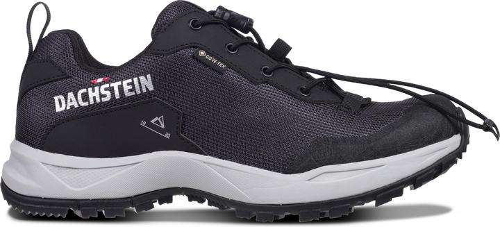 Actual product image Dachstein Women's Delta Ascent GTX (38.5)