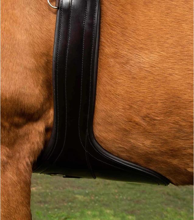 Image du produit Premier Equine sangle bavette équitation anatomique en cuir lizzano