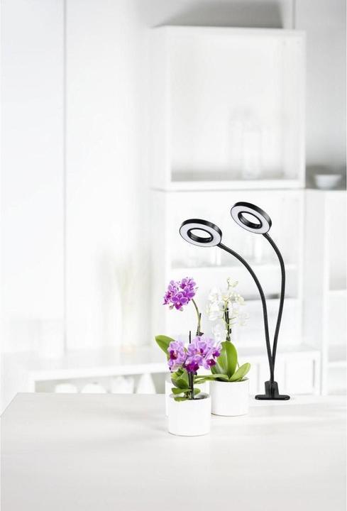 Actual product image Xavax Circle (LED, 5 V)